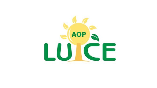 AOP LUCE